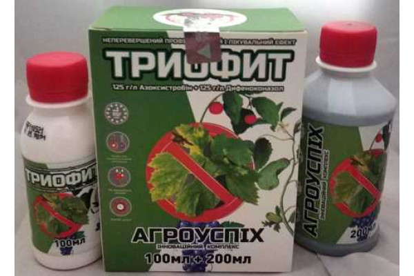 Засіб для захисту рослин від хвороб "Фунгіцид Триофит 100мл + Добриво Агроуспіх" 200+100 мл. 50шт/бл