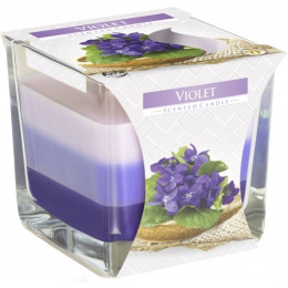 Свічка ароматизована (стакан) Violet BISPOL SNK80-131 1/6